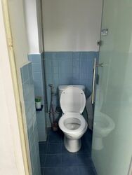 Serangoon Garden Estate (D19), Semi-Detached #453674851